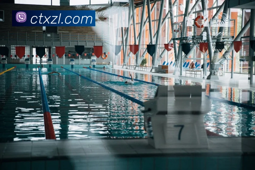 App Interface Preview