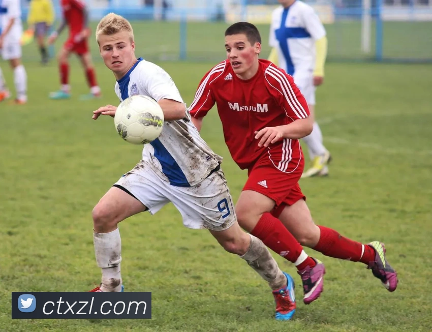 尊龙凯时APP 封面图